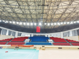 Proyecto de iluminacion realizado en las instalaciones del gimnasio del condado de Haiyan, China