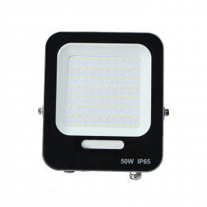 Flood Light FL02 50W - Eco Line