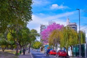Proyecto de iluminacion realizado en la ciudad de Buenos Aires, Argentina