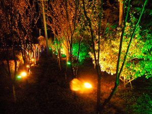 Aplicaciones-Flood-Light