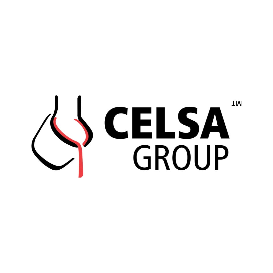 Celsa Group