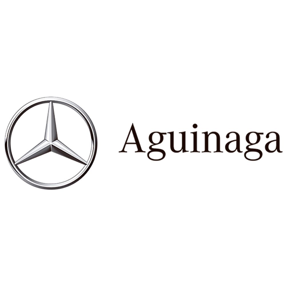 Grupo Aguinaga logo